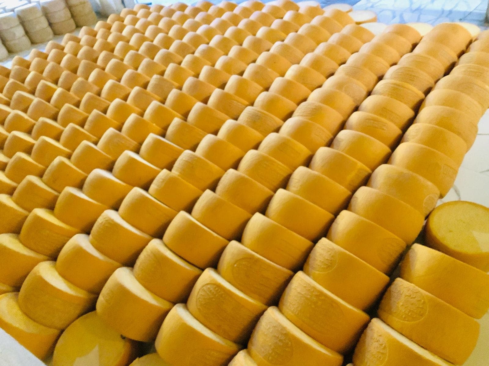 rumi-cheese