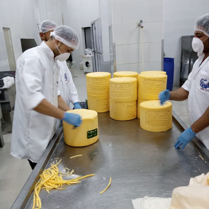 rumi cheese