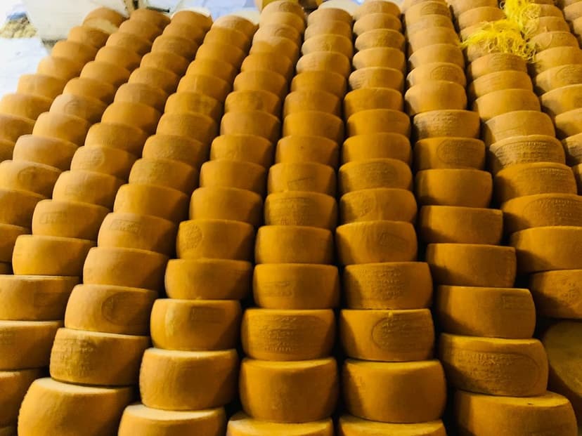 rumi cheese