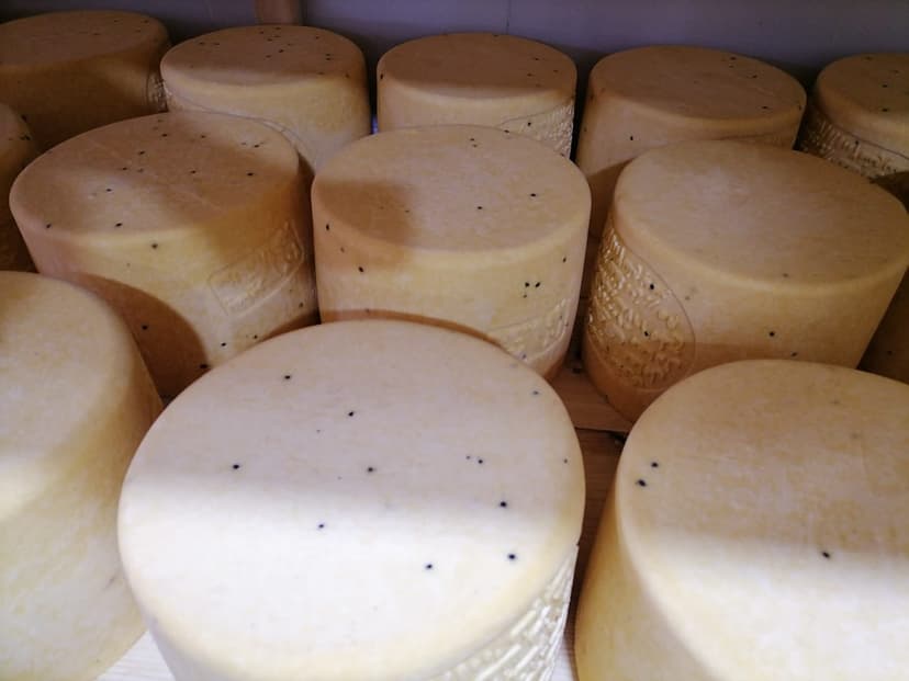 rumi cheese