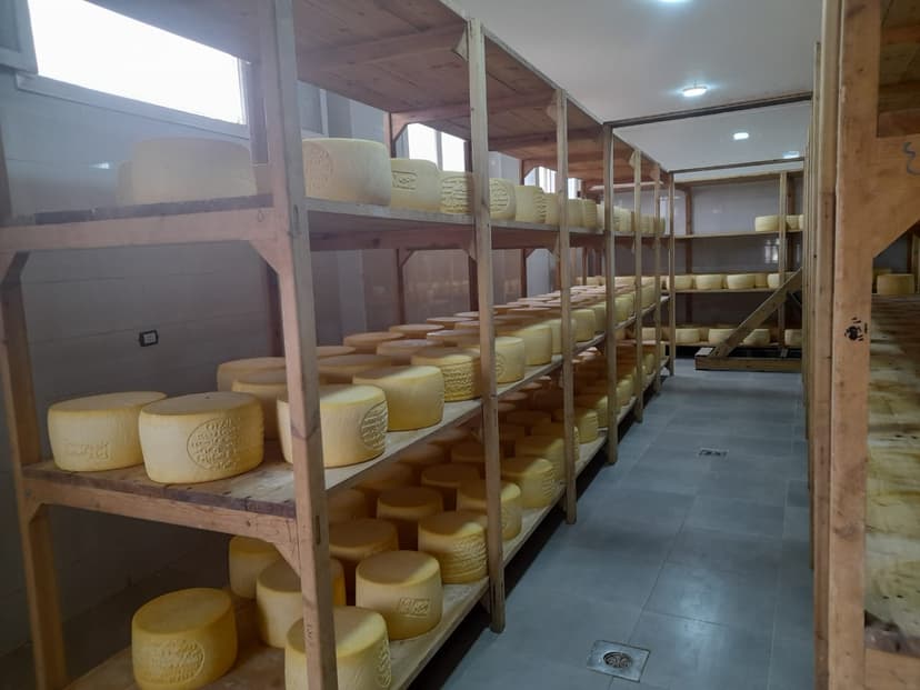 rumi cheese